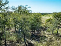 2.67 Acres in Beautiful Thrall, TX : Thrall : Williamson County : Texas