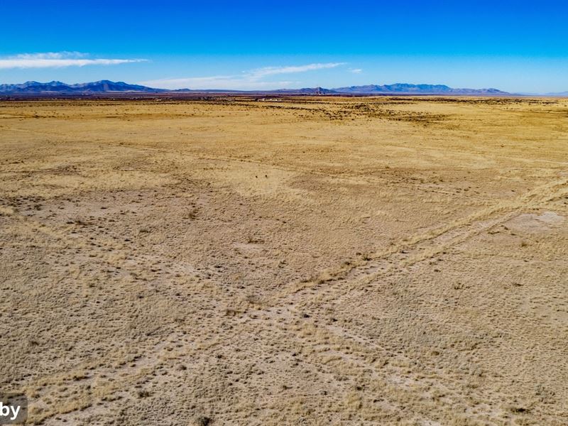 2.81 Acres of Desert Land : Douglas : Cochise County : Arizona