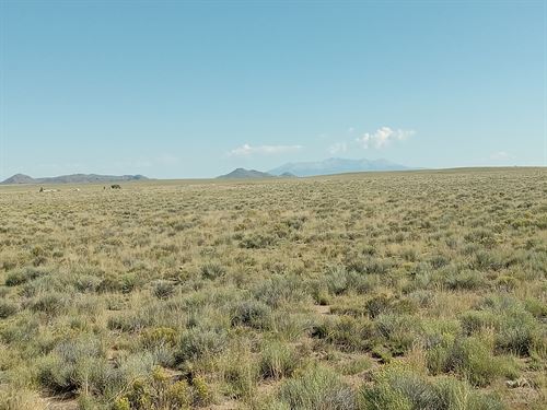 5 Acres in San Luis, CO : San Luis : Costilla County : Colorado