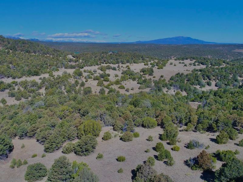 Lower Mine Road, Walsenburg, CO : Walsenburg : Huerfano County : Colorado
