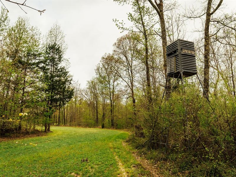 235 Acres with a Shop House in Pano : Sarah : Panola County : Mississippi