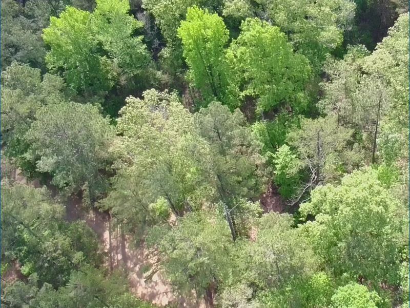 3.06 Acres in Oktibbeha County : Sturgis : Oktibbeha County : Mississippi