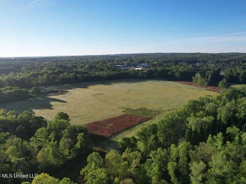 266 Acres Hinds/Copiah Line : Utica : Hinds County : Mississippi