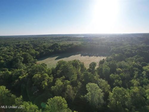 277 Acres Hinds/Copiah Line : Utica : Hinds County : Mississippi