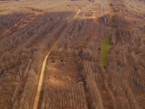 Tensas Parish Duck And Deer Hunting : Saint Joseph : Tensas Parish : Louisiana