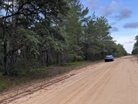 Build-Ready Lot in Interlachen Lake : Interlachen : Putnam County : Florida