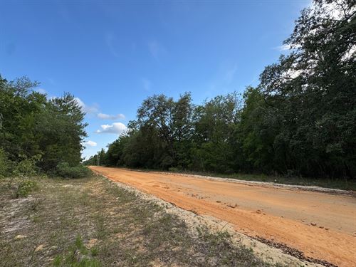 Mobile-Friendly Lot Near Lakes : Interlachen : Putnam County : Florida