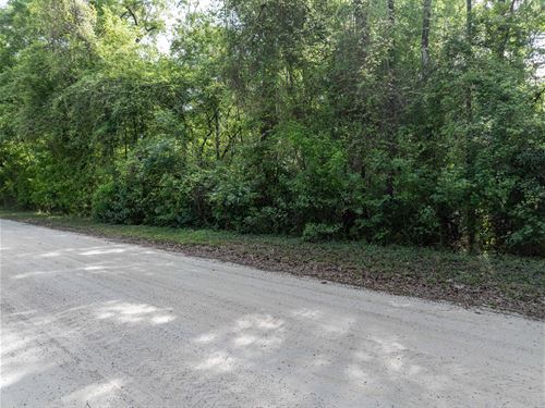 Discover Paradise : Fort White : Columbia County : Florida