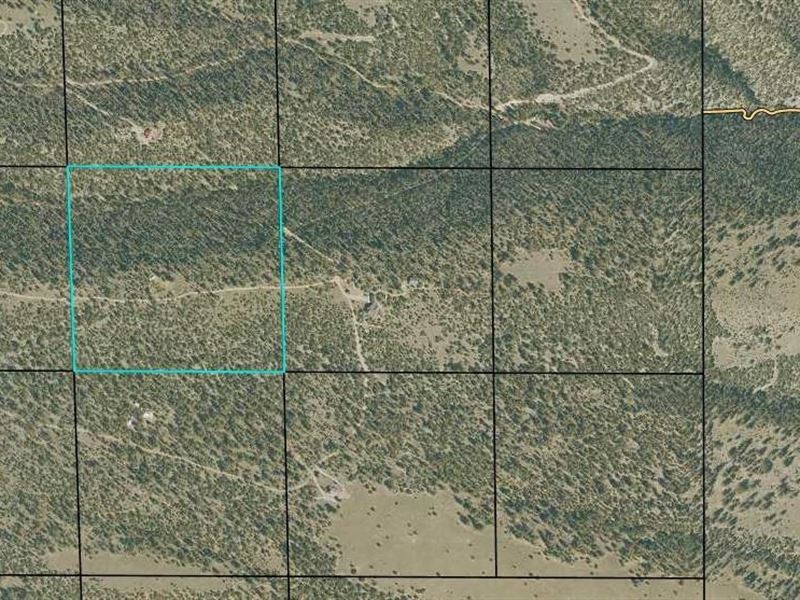 No HOA or Covenants : Salida : Chaffee County : Colorado