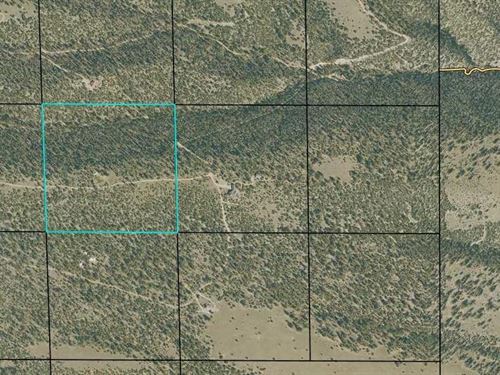 No HOA or Covenants : Salida : Chaffee County : Colorado