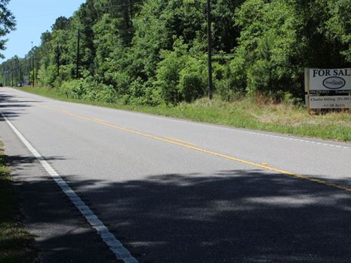 Dauphin Island Parkway Property : Mobile : Alabama