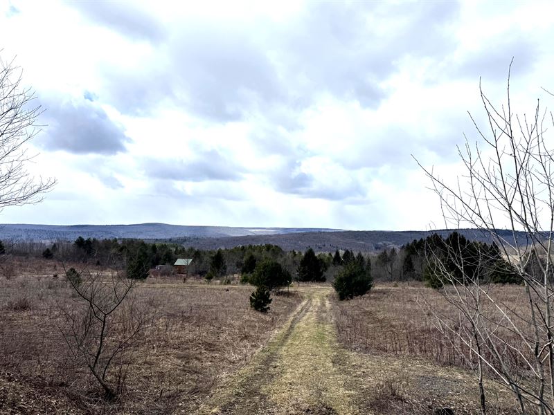 Scenic Chenango County Retreat : Smyrna : Chenango County : New York