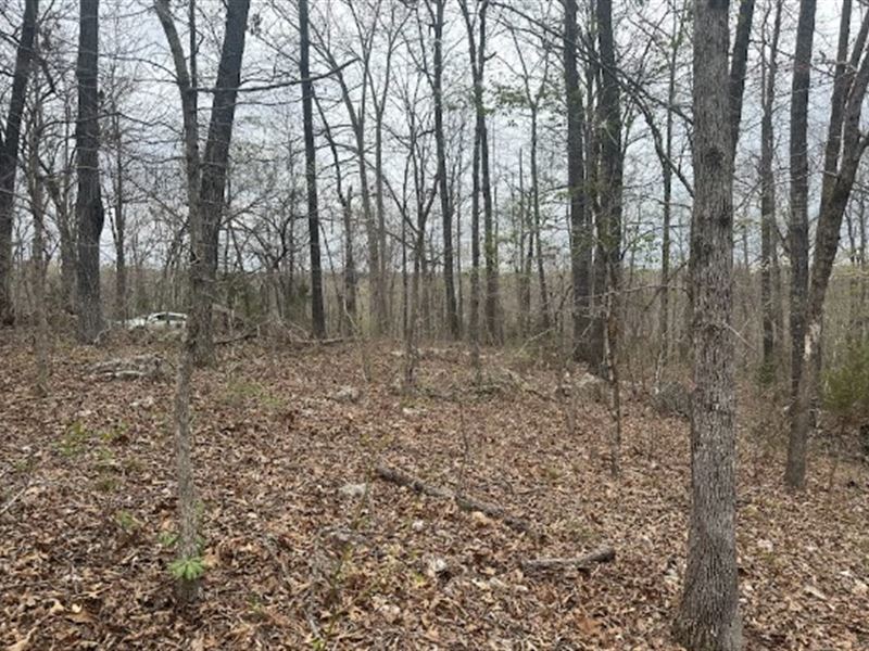 Beautiful $100/Mo Ozark Lot : Williford : Sharp County : Arkansas