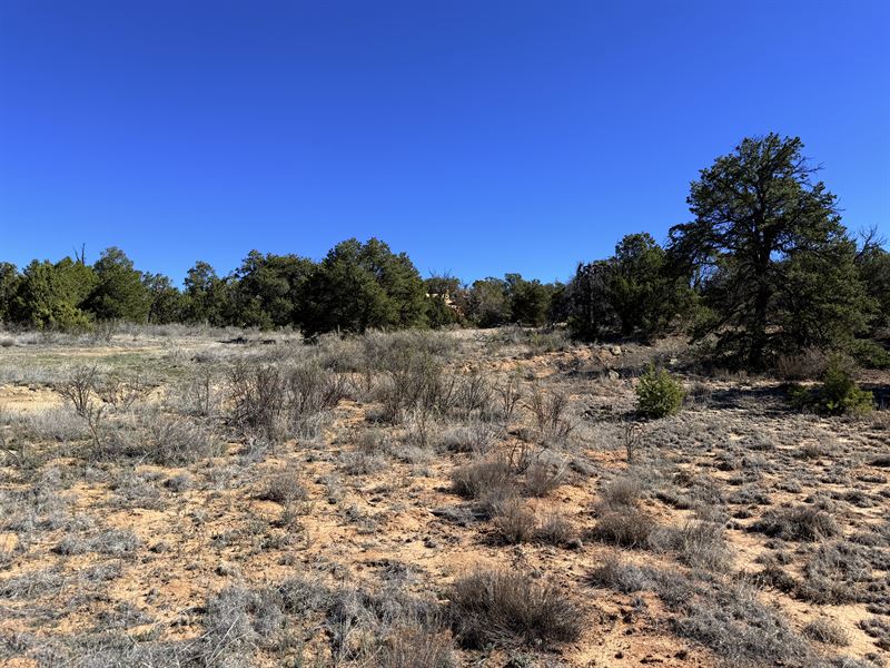 Candy Kitchen RV Ready Desert Parce : Grants : Cibola County : New Mexico