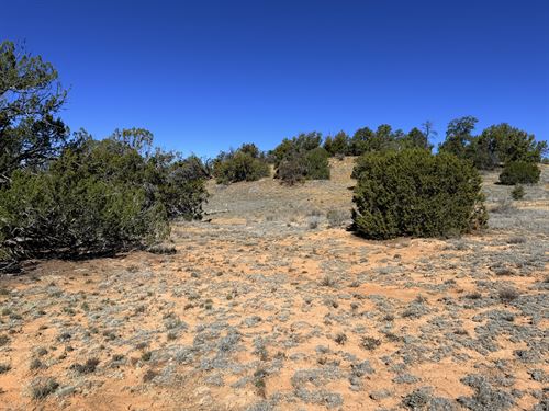 Candy Kitchen Elevated Desert View : Candy Kitchen : Cibola County : New Mexico