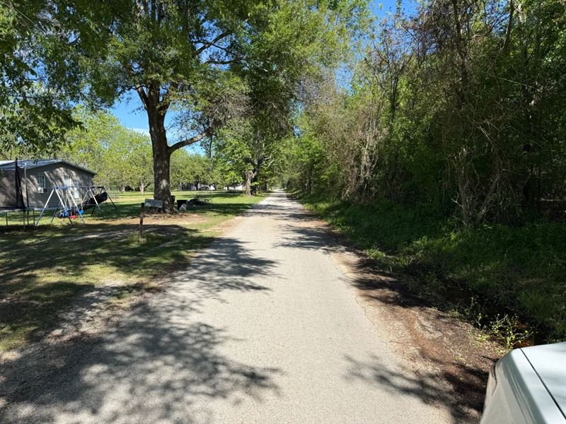 La, Caldwell 62 Acres : Banks Springs : Caldwell Parish : Louisiana