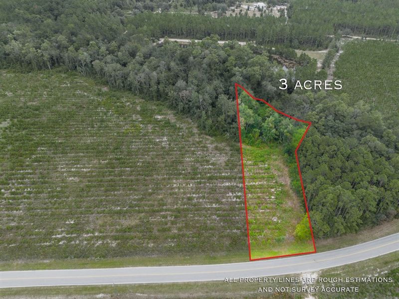 3 Acres, Tract 1, River Road : Folkston : Charlton County : Georgia