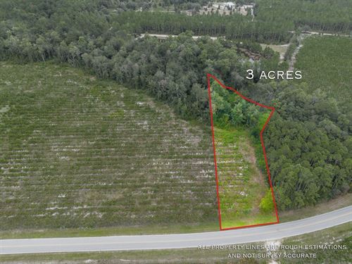 3 Acres, Tract 1, River Road : Folkston : Charlton County : Georgia
