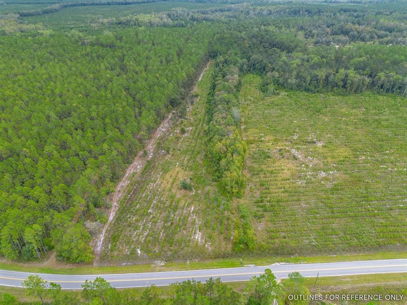 7.13 Acres, Tract 7, River Road : Folkston : Charlton County : Georgia