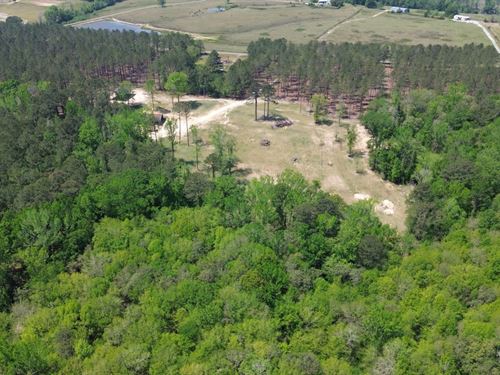 55 Acres Auburn, AL : Auburn : Macon County : Alabama