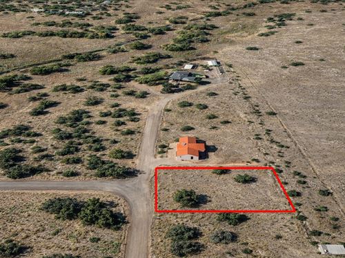 .37 Acre Just $175/Mo : Concho : Apache County : Arizona