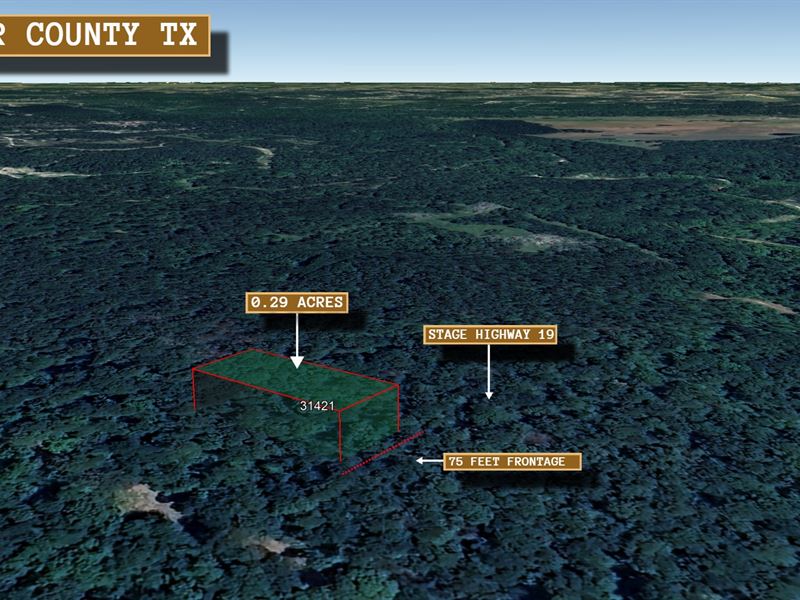 .29 Acre in Huntsville, $250/Mo : Huntsville : Walker County : Texas