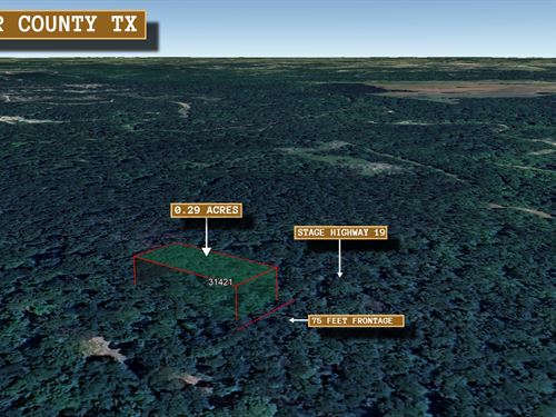 .29 Acre in Huntsville, $250/Mo : Huntsville : Walker County : Texas