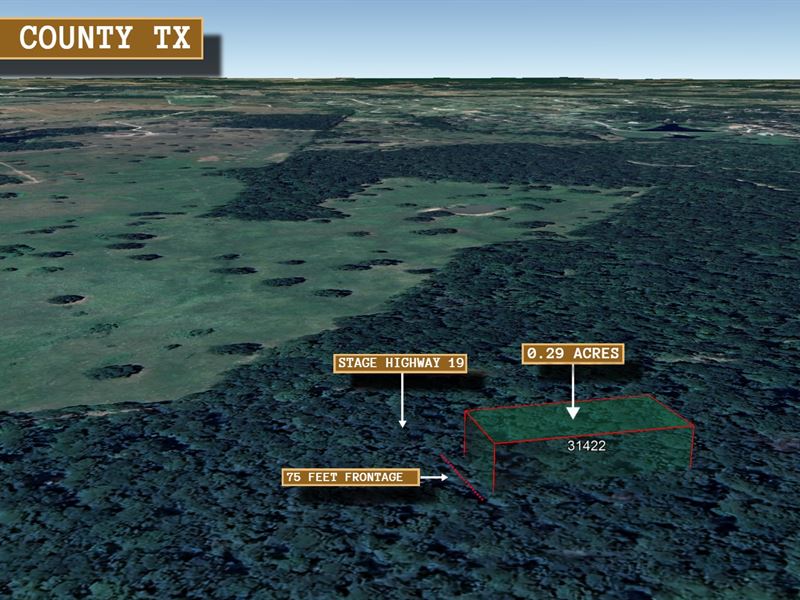 .29 Acre in Huntsville, $250/Mo : Huntsville : Walker County : Texas