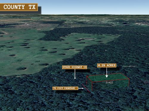 .29 Acre in Huntsville, $250/Mo : Huntsville : Walker County : Texas