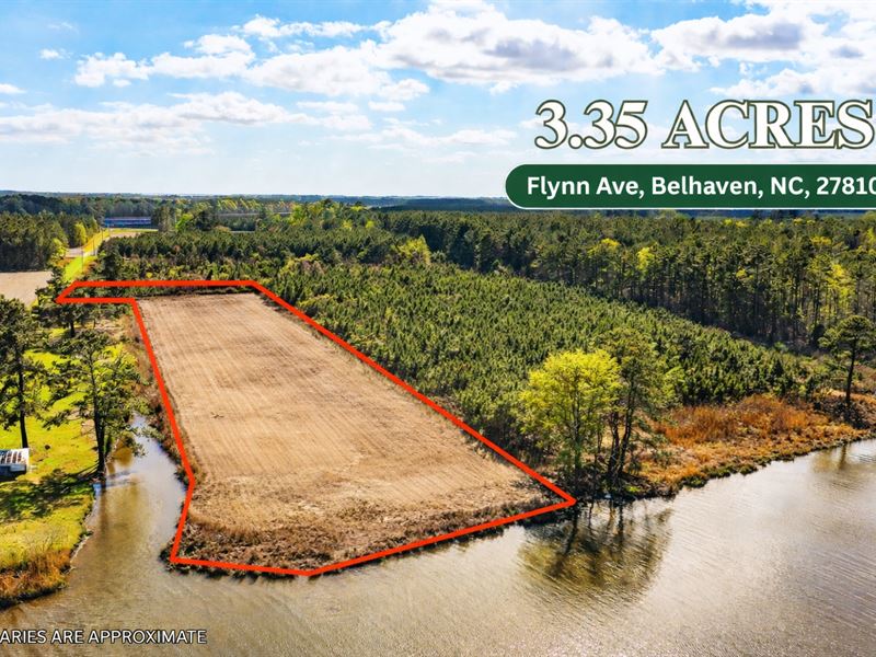 Waterfront with No Restrictions : Belhaven : Beaufort County : North Carolina