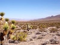 2.5 Acres Lake Mead Owner Financing : Meadview : Mohave County : Arizona