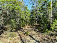 A Quiet Hold Near Defuniak Springs : Defuniak Springs : Walton County : Florida