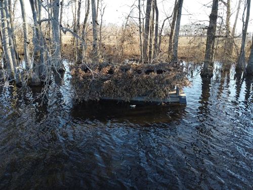 Kiethley Lake 70.17 Acre Duck Hunti : Widener : Saint Francis County : Arkansas