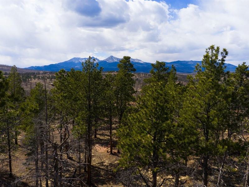 Lot 758 Marriott Circle, Ft Garlan : Fort Garland : Costilla County : Colorado