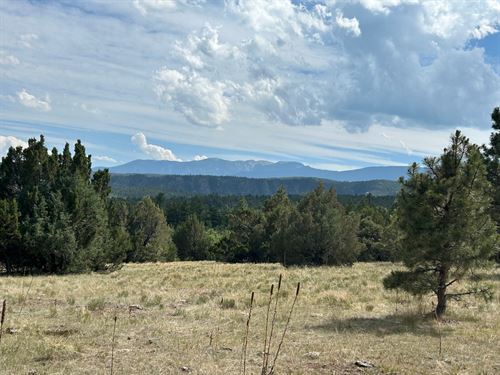 Double G Ranch VL 40 Acres : Beulah : Pueblo County : Colorado