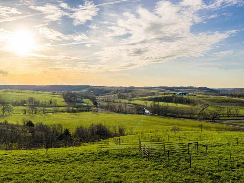 Long Valley Land and Livestock : Plato : Texas County : Missouri