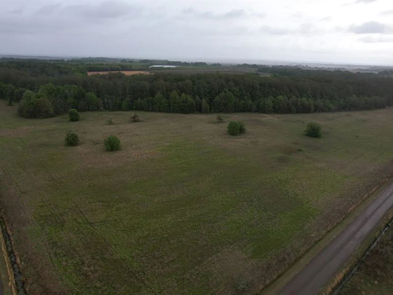 40 Acres in Quitman County in Sledg : Sledge : Quitman County : Mississippi