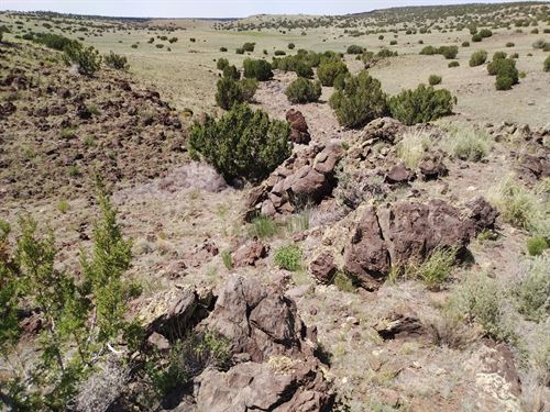 Off-Grid Escape in Concho Valley : Concho : Apache County : Arizona