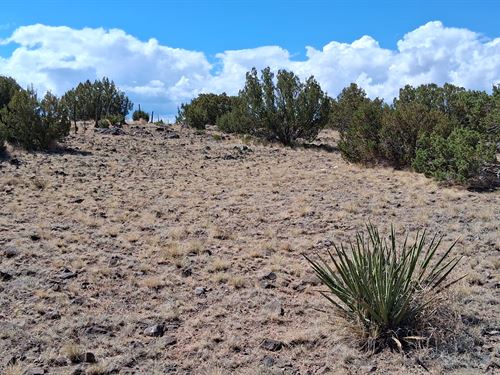 Own Desert Off-Grid Lot with View : Concho : Apache County : Arizona