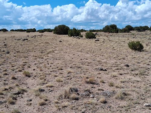 Off-Grid Lot Ideal for Solar Use : Concho : Apache County : Arizona