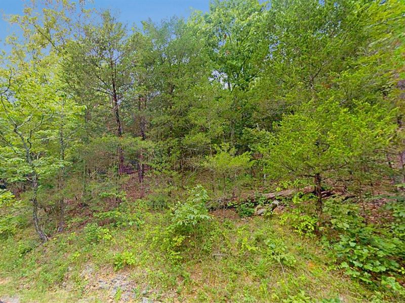 .29 Acre Homesite in Cherokee, AR : Cherokee Village : Sharp County : Arkansas