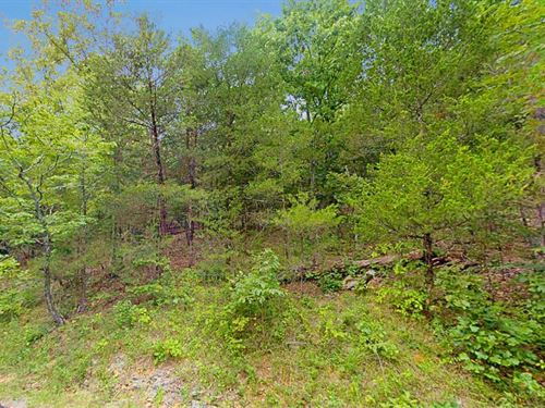.29 Acre Homesite in Cherokee, AR : Cherokee Village : Sharp County : Arkansas