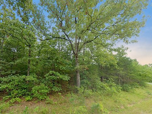 .41 Acre Treed Buildable Lot : Cherokee Village : Sharp County : Arkansas