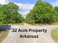 High Potential, o The High Price : Horseshoe Bend : Izard County : Arkansas