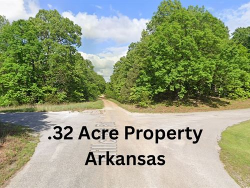High Potential, o The High Price : Horseshoe Bend : Izard County : Arkansas