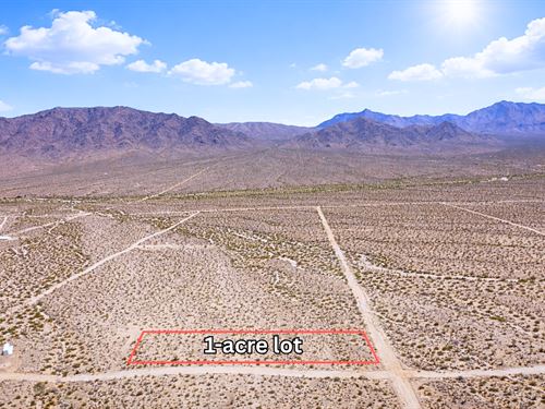 Build or Camp No HOA : Meadview : Mohave County : Arizona