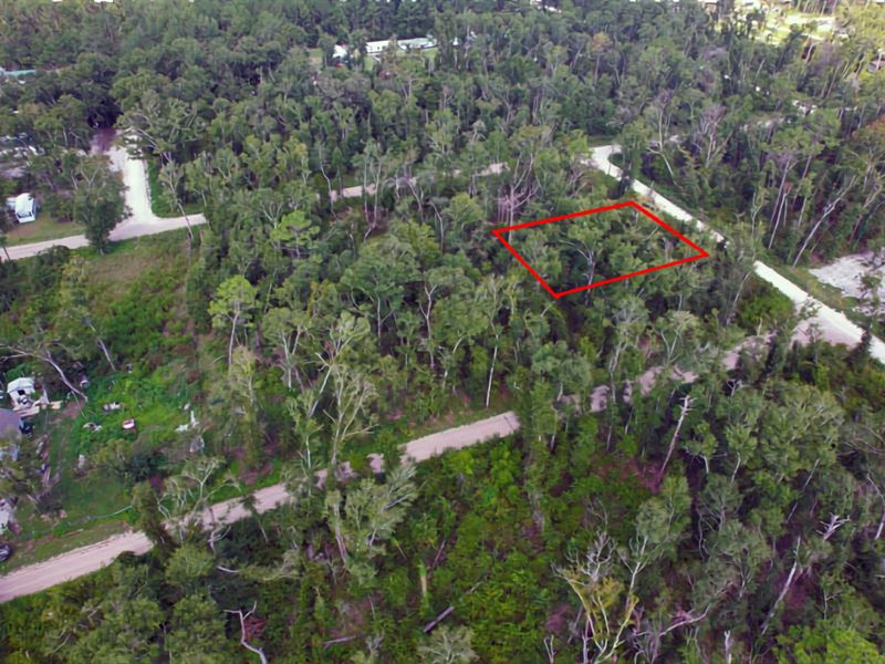 Lot in Live Oak, Room To Expand : Live Oak : Suwannee County : Florida