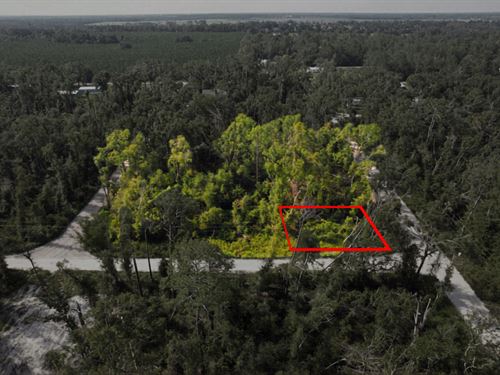 Corner Lot with More Parcels Nearby : Live Oak : Suwannee County : Florida