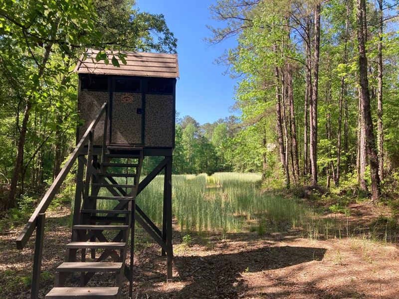 Little Texas-100Acres, Macon Co : Little Texas : Macon County : Alabama