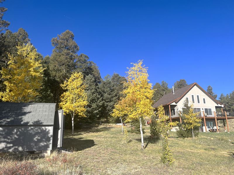 1007 Hereford Drive : Hartsel : Park County : Colorado